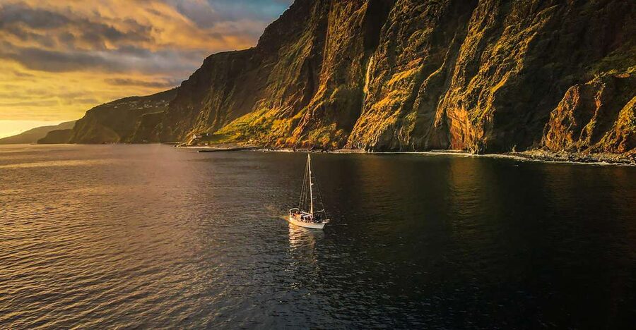 Funchal: Dolphin and Whale Watching Sunset Sailing Tour - Searching for Dolphins and Whales Three Miles Offshore