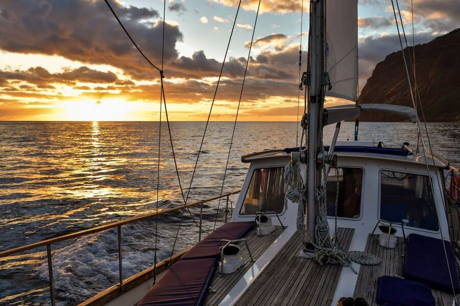 Funchal: Dolphin and Whale Watching Sunset Sailing Tour - Who Will Enjoy This Sailing Trip Most?