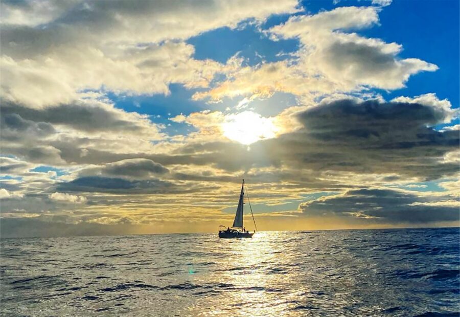 Funchal: Dolphin and Whale Watching Sunset Sailing Tour - Should You Book the Cabo Girão Sunset Cruise?
