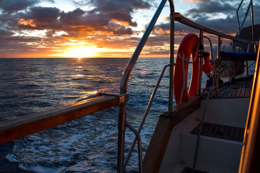 Funchal: Dolphin and Whale Watching Sunset Sailing Tour - Swimming Beneath Madeira’s Highest Sea Cliff