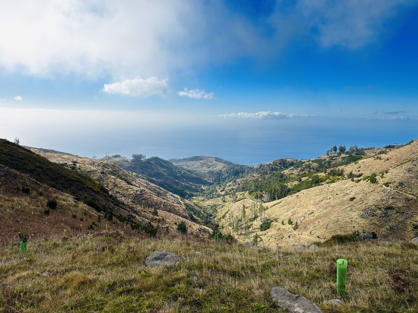 Funchal: East Madeira Island Guided Tour & Laurissilva Walk - Who should book this tour?