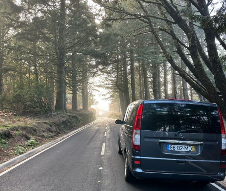 Funchal: East Madeira Island Guided Tour & Laurissilva Walk - Ribeiro Frio brings forest, lunch, and a choice