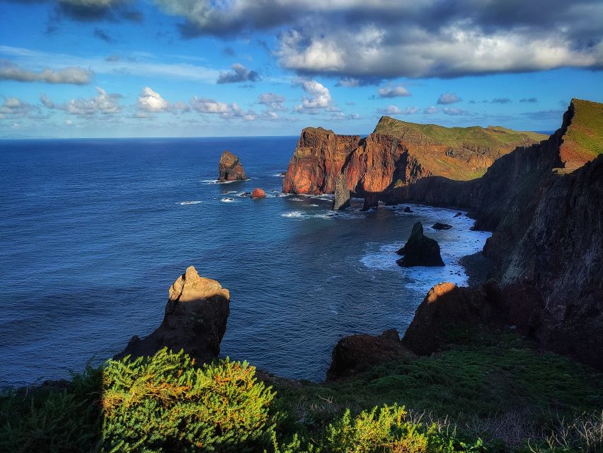Funchal: East Madeira Island Guided Tour & Laurissilva Walk - Porto da Cruz combines sugarcane and sea air