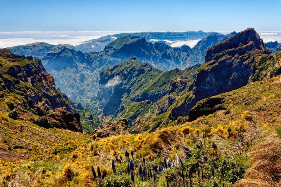 Funchal: East Madeira Island Guided Tour & Laurissilva Walk - Pico do Areeiro starts the day above the clouds