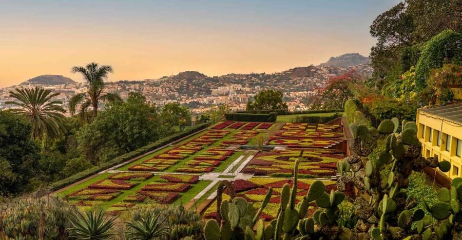 Funchal: Guided Old Town Tuk Tuk Tour and Botanical Gardens - Key points at a glance
