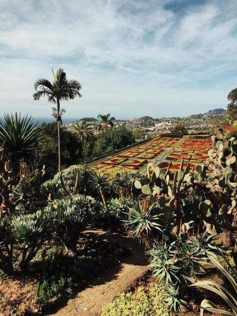 Funchal: Guided Old Town Tuk Tuk Tour and Botanical Gardens - Why a tuk tuk fits Funchal so well