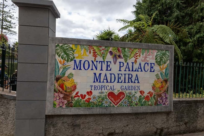 Funchal: Guided Tuk Tuk Tour to Toboggan Rides & Old Town - Marmeleiros viewpoint and the climb into the hills