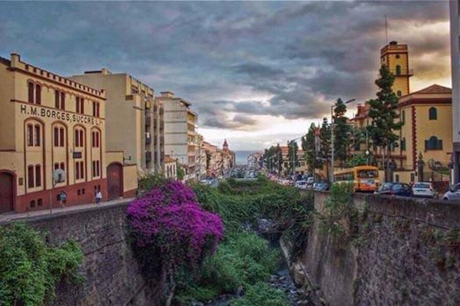 Funchal: H.M. Borges Winery Guided Tour with Wine Tasting - Who will enjoy this winery visit?