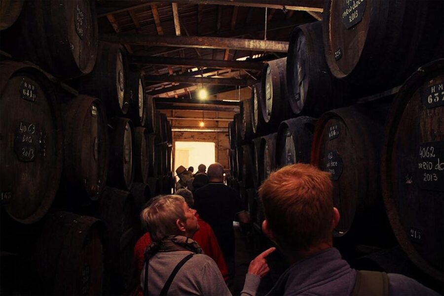 Funchal: H.M. Borges Winery Guided Tour with Wine Tasting - The family story behind the bottles
