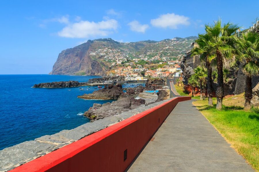 Funchal: Hop-On Hop-Off Bus Tour - Start at Funchal Marina and get your bearings