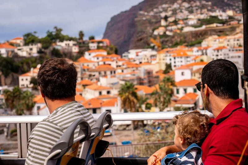 Funchal:Hop-on Hop-off Bus & Whale & Dolphin boat Excursion - Key points to know before booking