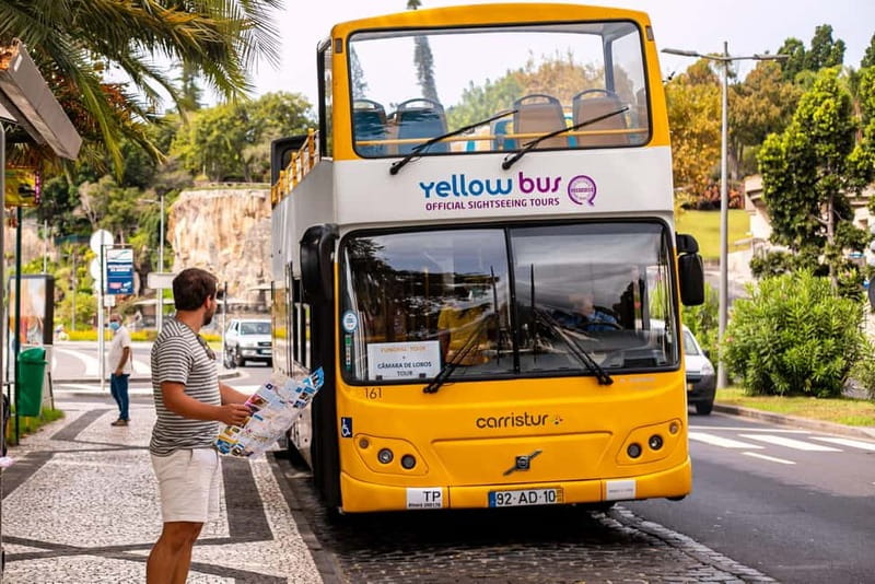 Funchal:Hop-on Hop-off Bus & Whale & Dolphin boat Excursion - Why seeing Madeira by road and sea works