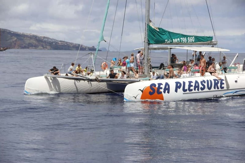 Funchal:Hop-on Hop-off Bus & Whale & Dolphin boat Excursion - Funchal’s center, old streets, and market