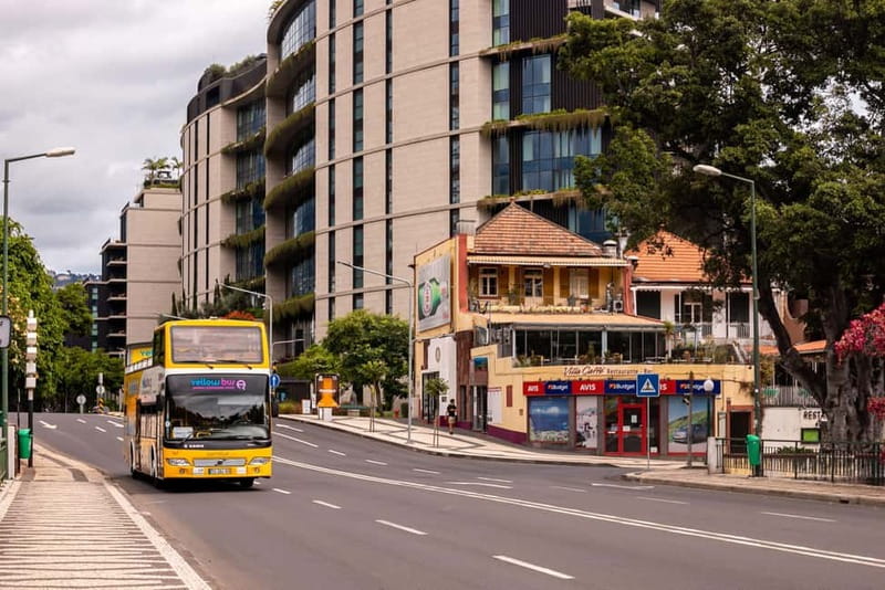 Funchal:Hop-on Hop-off Bus & Whale & Dolphin boat Excursion - Higher views at Quinta Magnólia and Pico dos Barcelos