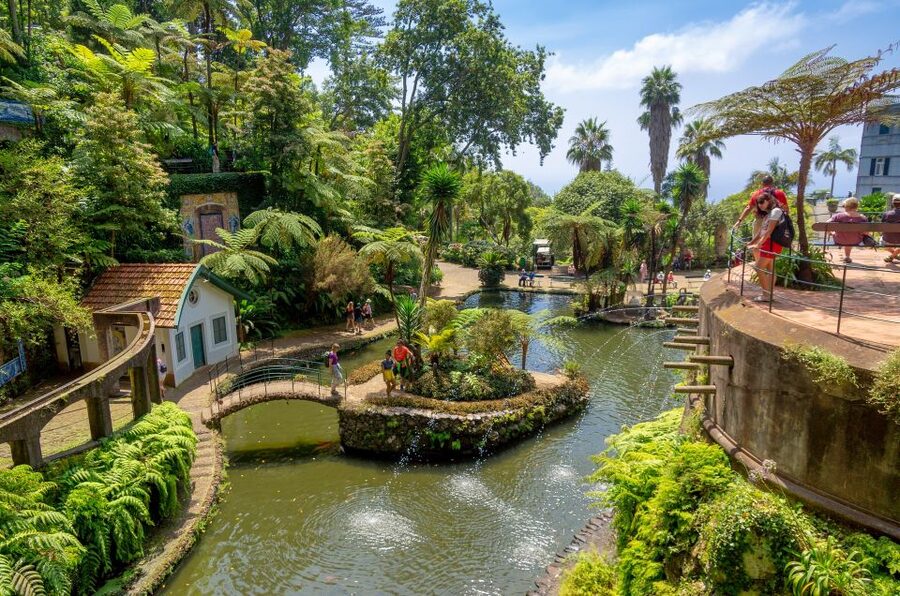 Funchal: Monte Palace Tropical Gardens Tuk Tuk Tour - The ride from Funchal to Monte