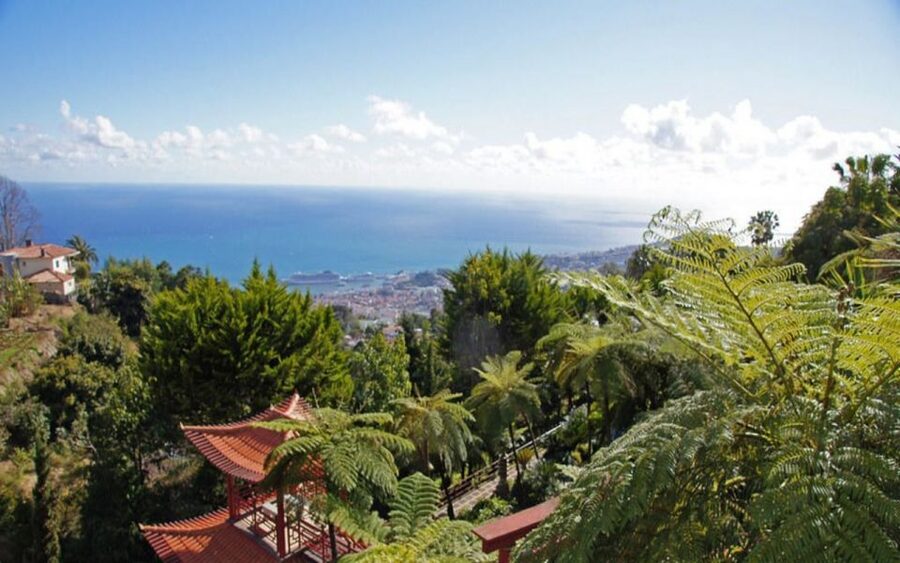 Funchal: Monte Palace Tropical Gardens Tuk Tuk Tour - Inside Monte Palace Tropical Gardens