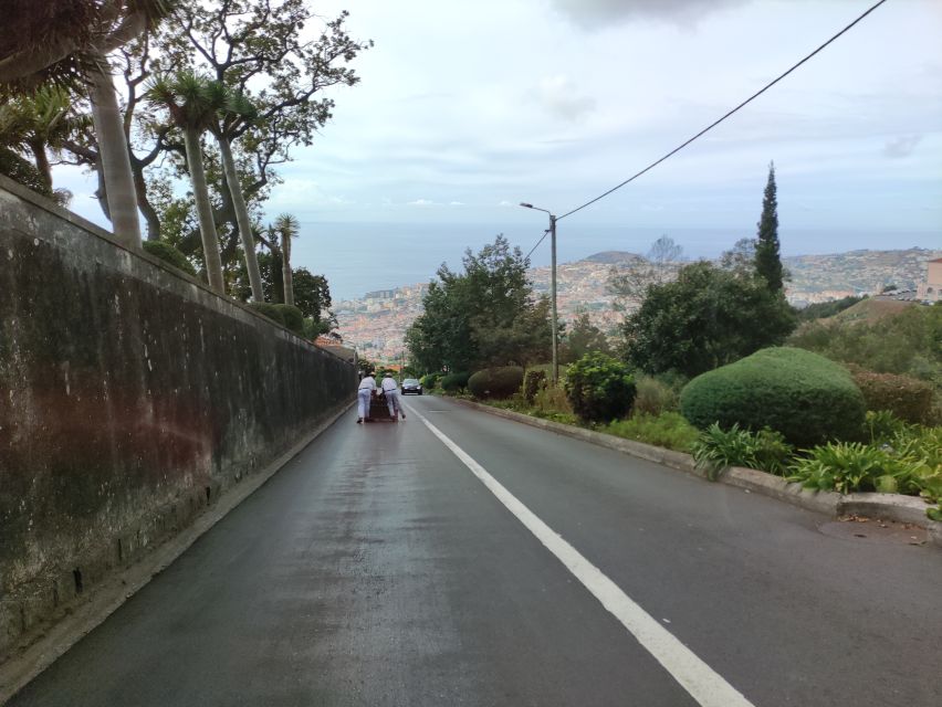 Funchal: Monte Toboggan and Old Town Tour by Tuk-Tuk - Monte at 585 meters above sea level