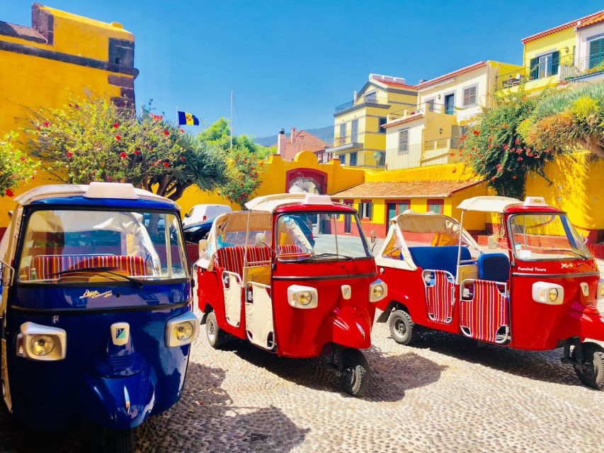 Funchal: Monte Toboggan and Old Town Tour by Tuk-Tuk - What the 20-minute basket descent feels like