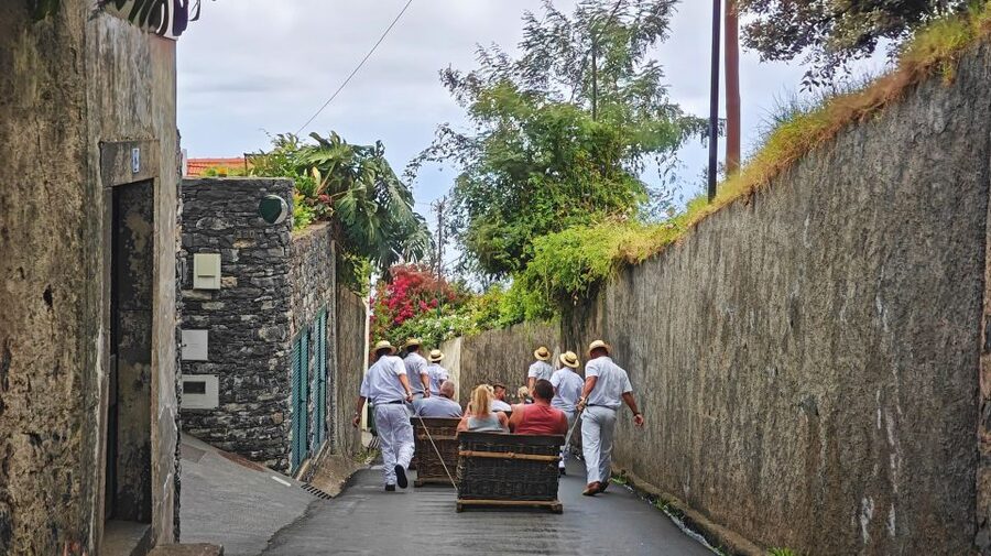Funchal: Monte Toboggan and Old Town Tour by Tuk-Tuk - Price, timing, and what you really receive