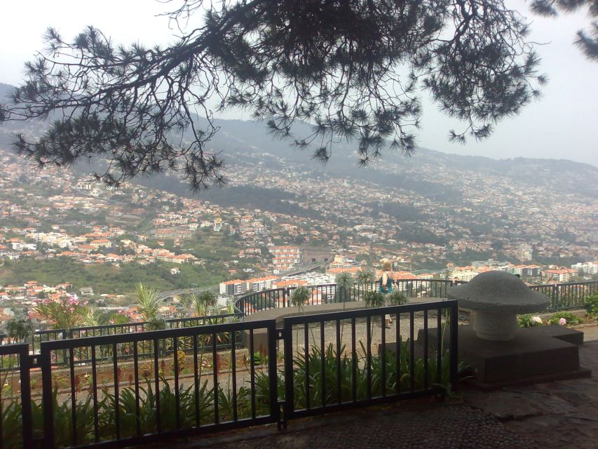 Funchal: Nuns Valley Half Day Tour - Is $29 good value for three hours?