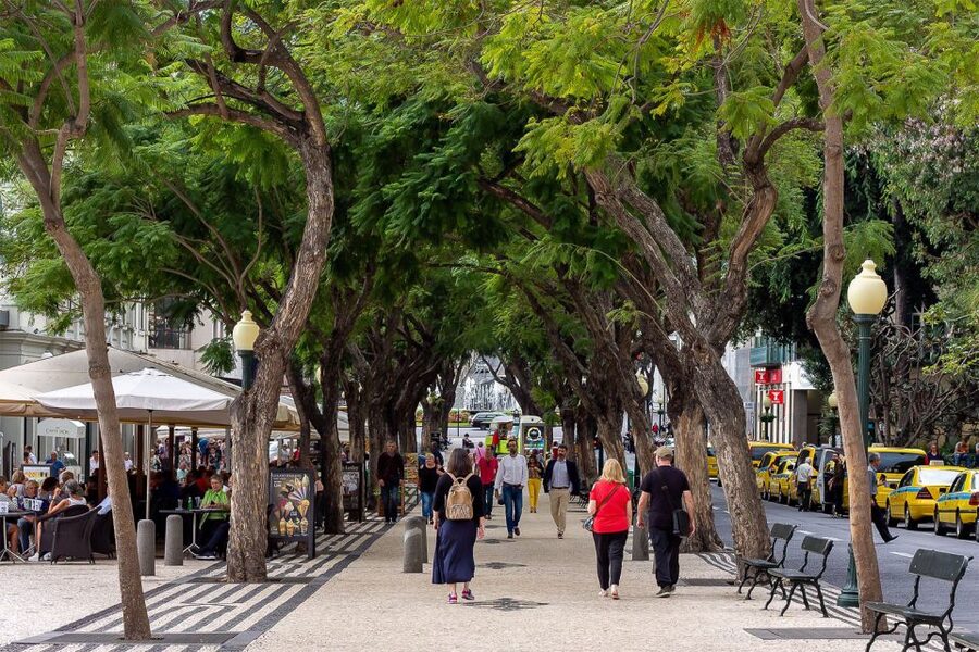 Funchal: Old Town Walking Tour - Key points at a glance