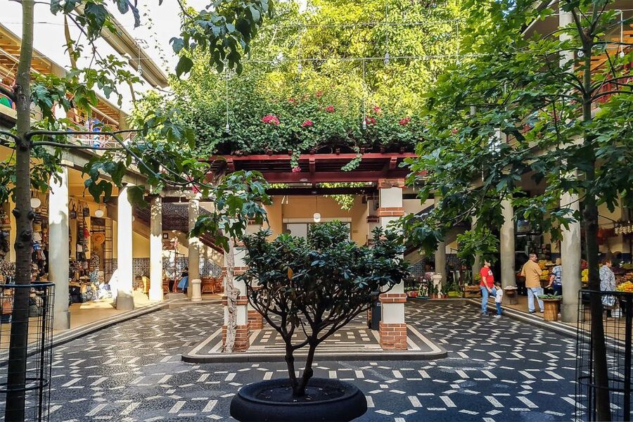 Funchal: Old Town Walking Tour - The Municipal Garden, wine, and the return route