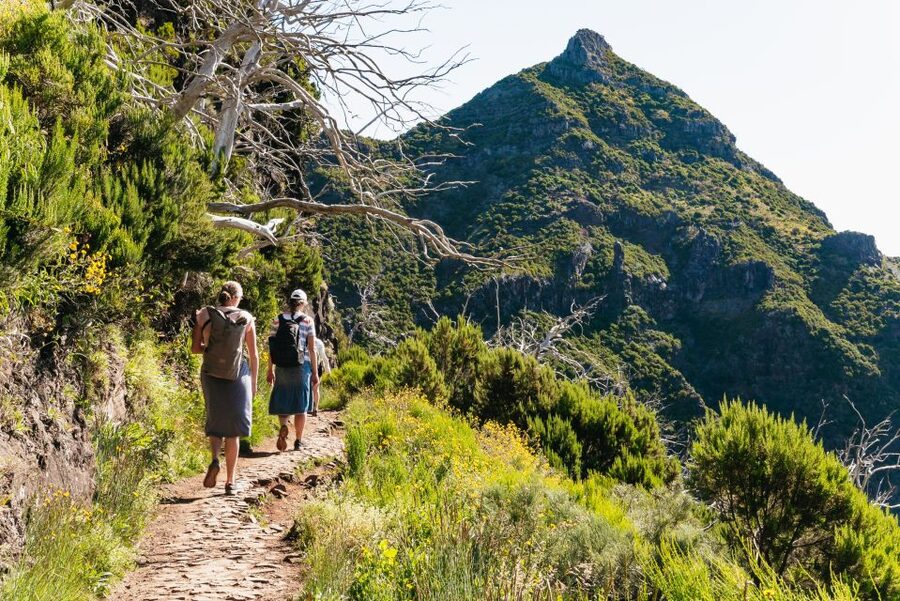 Funchal: Pico do Arieiro Sunrise Transfer Self-guided Hike - What your driver explains before you walk