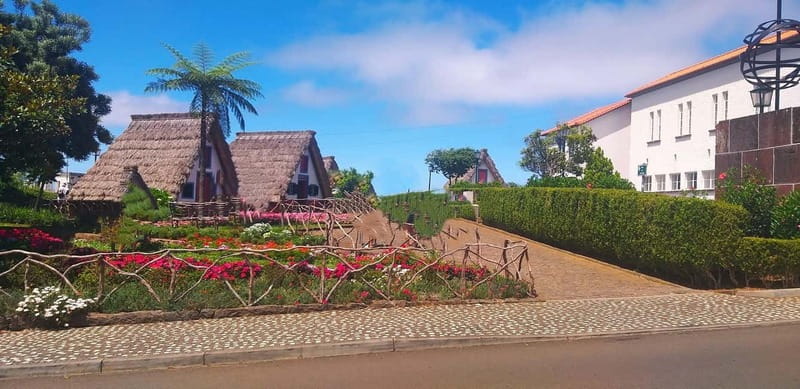 Funchal Private 4-Seater VIP Mercedes / 8-Seater Minibus - Key points before you book