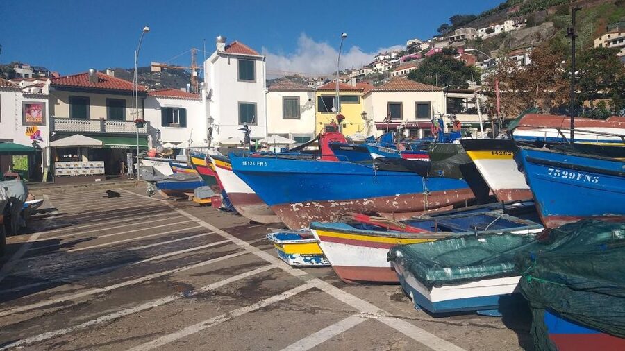 Funchal Private 4-Seater VIP Mercedes / 8-Seater Minibus - Who gets the most from this tour?