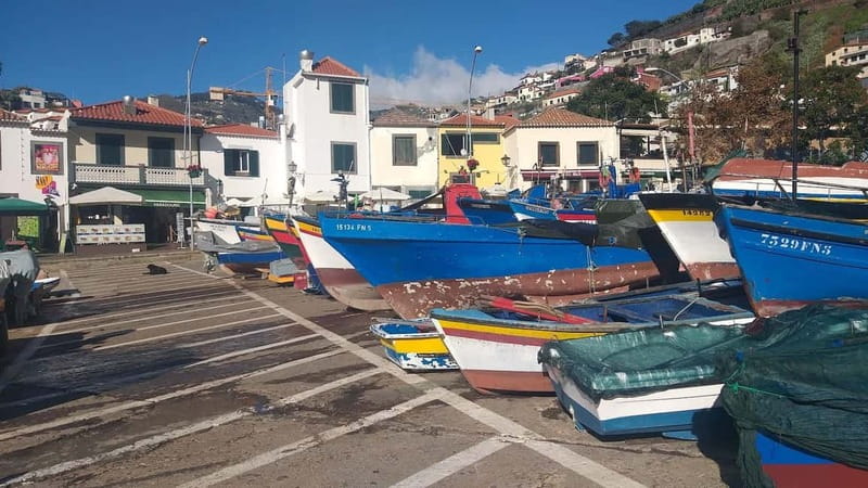 Funchal Private 4-Seater VIP Mercedes / 8-Seater Minibus - Comfort, accessibility, and what to bring
