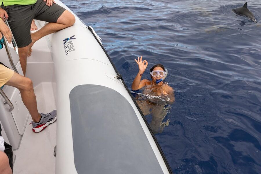 Funchal: RIB Whale Watching Cruise and Optional Dolphin Swim - Key points before you book