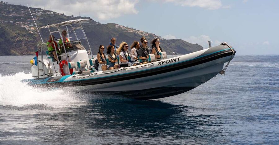 Funchal: RIB Whale Watching Cruise and Optional Dolphin Swim - Boarding at Funchal’s marina