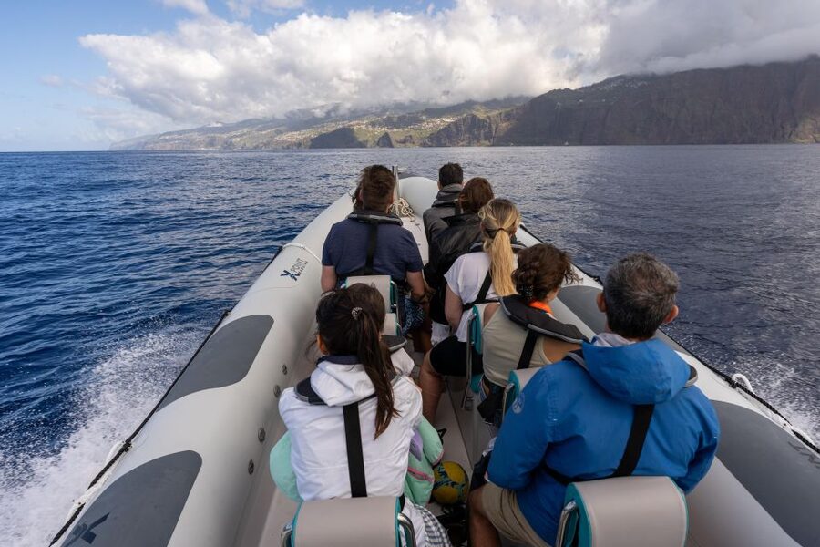 Funchal: RIB Whale Watching Cruise and Optional Dolphin Swim - Comfort, clothing, and the sea conditions