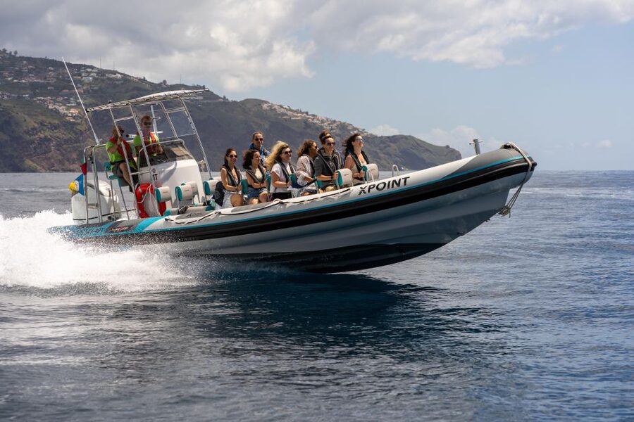 Funchal: RIB Whale Watching Cruise and Optional Dolphin Swim - Why the RIB changes the experience