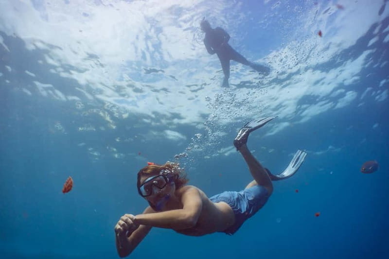 Funchal: Snorkeling Adventure in Eco-Park / Shore or by Boat - Key points at a glance