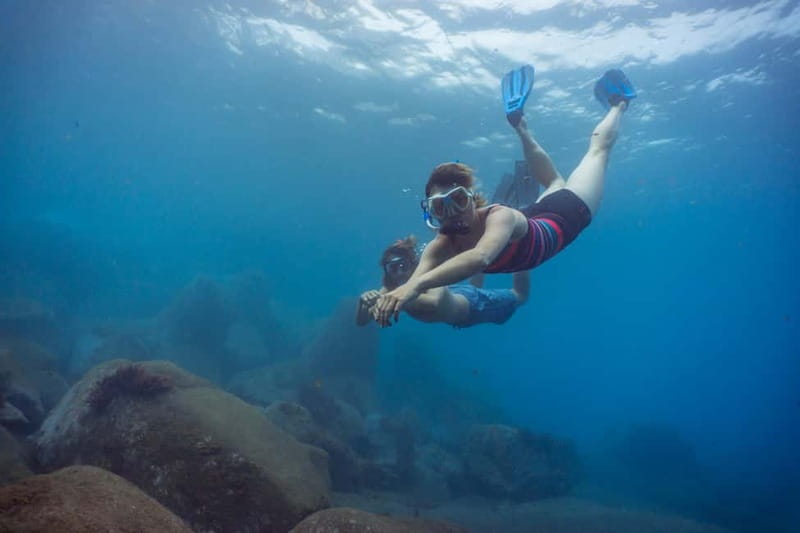 Funchal: Snorkeling Adventure in Eco-Park / Shore or by Boat - How much value do you get for $17?