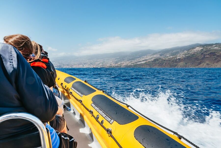 Funchal: Whale and Dolphin Watching Speed Boat Tour - Timing, comfort, and practical details