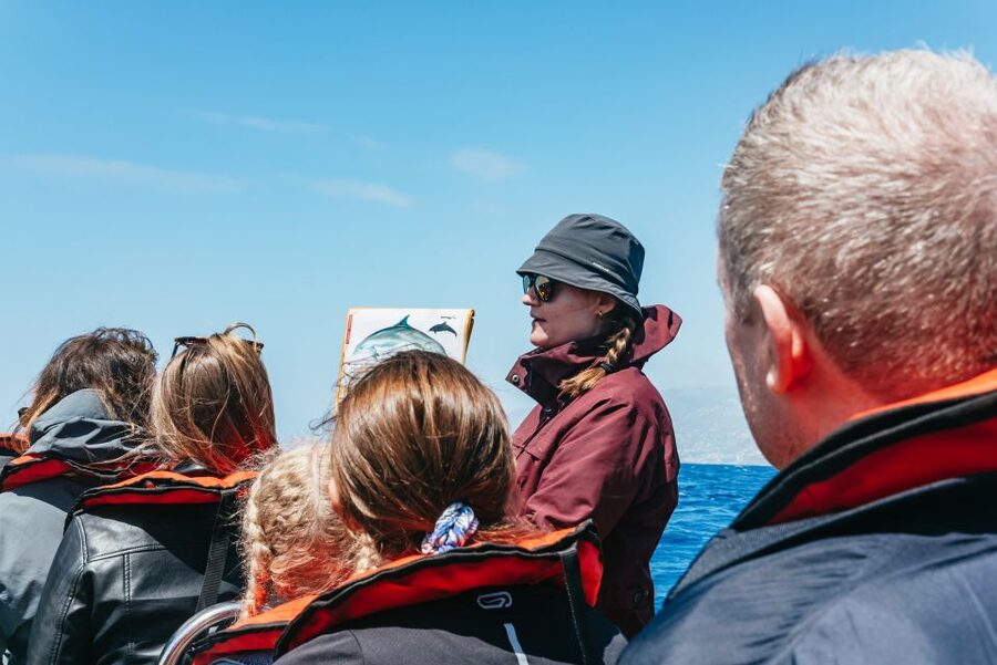 Funchal: Whale and Dolphin Watching Speed Boat Tour - What to pack for the 2.5-hour outing