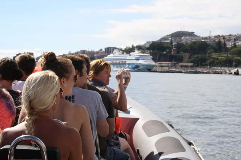 Funchal: Whale Watching and Swimming with Dolphins Cruise - The Marine Biologist Adds More Than a Boat Ride