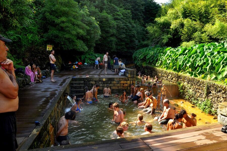 Furnas: Tea Plantations, Lake and Volcano Guided Tour - Why this day works for seeing São Miguel