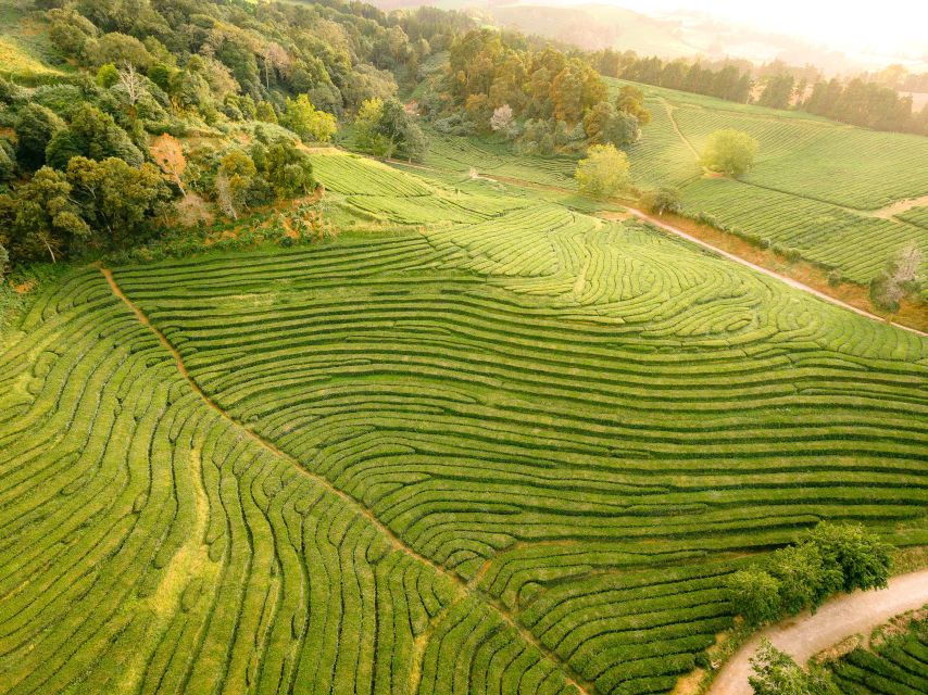 Furnas: Tea Plantations, Lake and Volcano Guided Tour - Vila Franca adds a coastal view