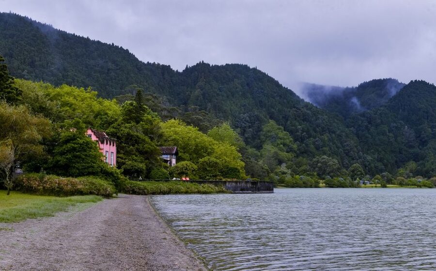 Furnas: Tea Plantations, Lake and Volcano Guided Tour - The pineapple plantation ends with small tastes
