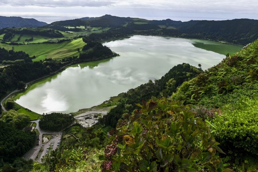 Furnas: Tea Plantations, Lake and Volcano Guided Tour - Gorreana Tea Plantation starts the day gently