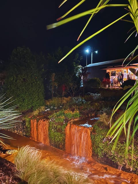 Furnas: the Mystic Tour (Dinner incl. + Hot Springs) - Furnas calderas under lights