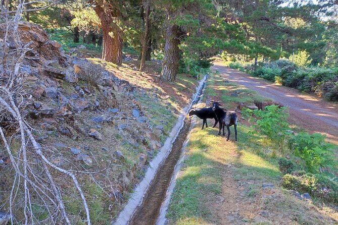 Gastro hike (Private Tour) - Price and value at $96.12 per person