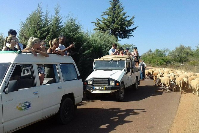 Half-Day Algarve Countryside and Villages Jeep Safari - Alte river stop: the day’s refreshing finish
