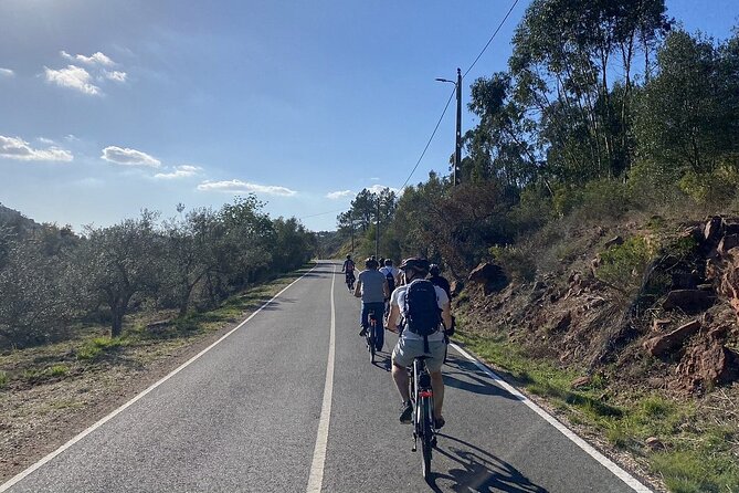 Half-Day Small-Group E-Bike Tour of Rural Algarve with Lunch - Who should book this experience