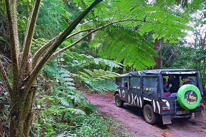 Half-Day Small-Group Madeira Village Safari from Funchal - A compact route into Madeira’s mountain country