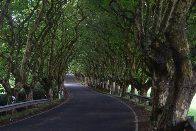 Half Day Terceira Island Tour by 4x4 - What the four-hour route includes
