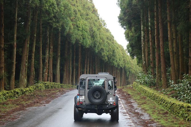 Half Day Terceira Island Tour by 4x4 - The guides make the difference